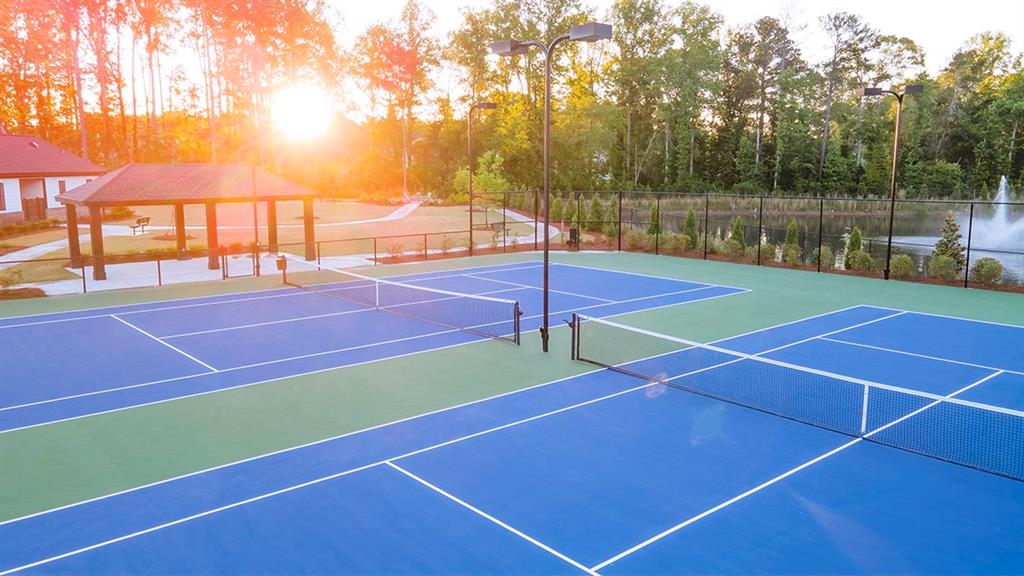 787 Black Maple Court