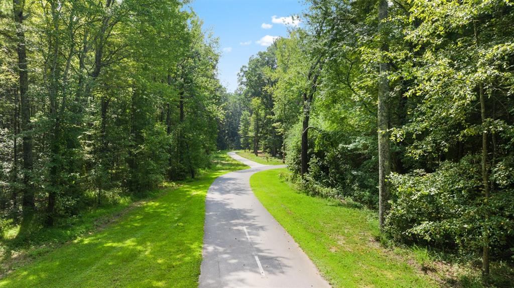 787 Black Maple Court