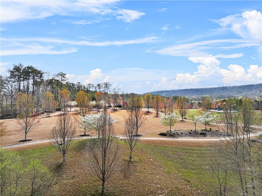 186 Little Coyote Loop