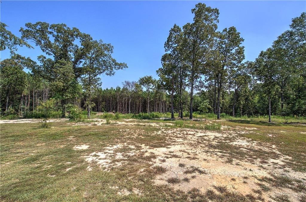 782 Terry White Road