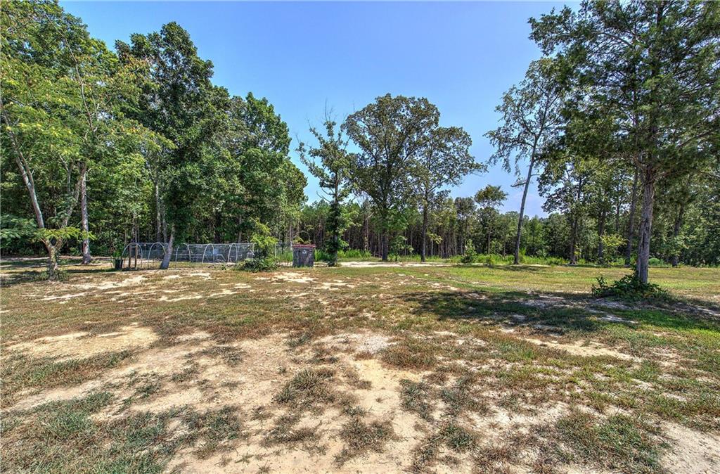 782 Terry White Road