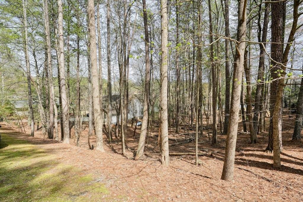 227 White Antelope Street