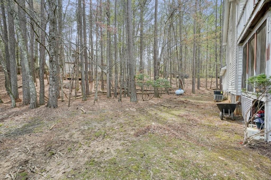 227 White Antelope Street