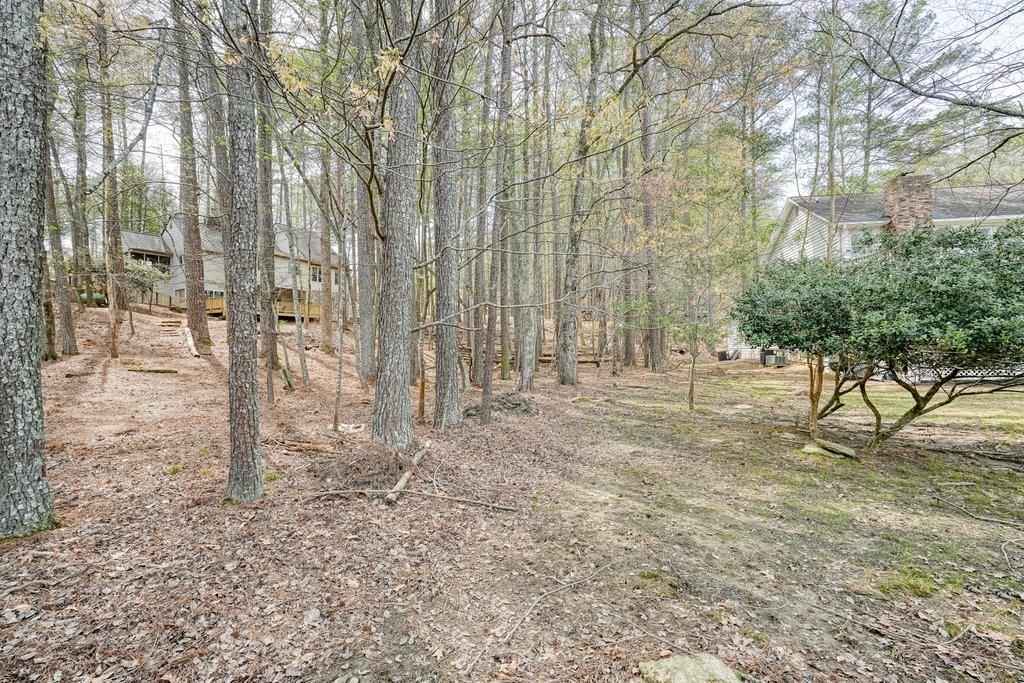 227 White Antelope Street