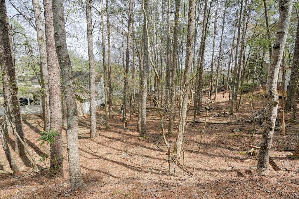 227 White Antelope Street