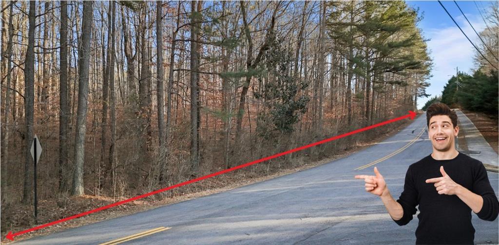 0 Lower Dixie Lake Road