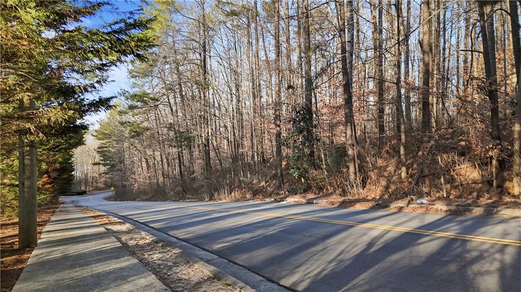 0 Lower Dixie Lake Road