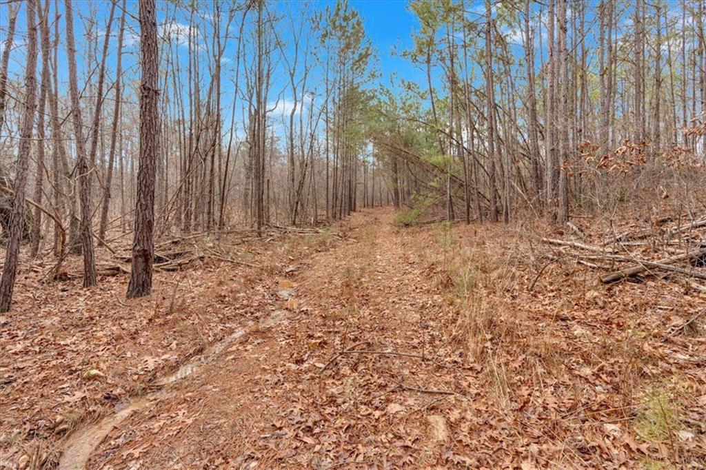 0 Raburn Lake Road
