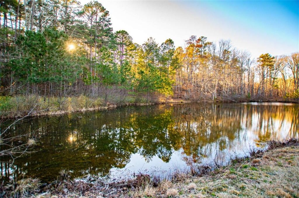 300 Little Vine Church Road