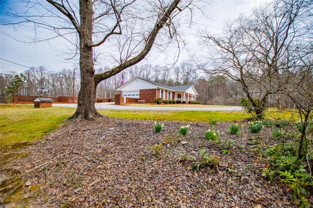 300 Little Vine Church Road