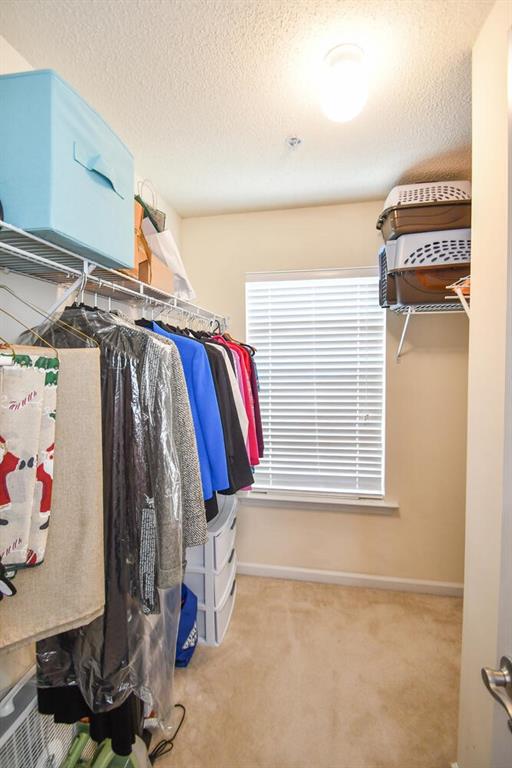 904 Magnolia Leaf Drive