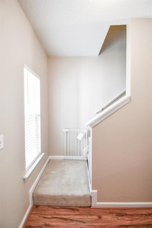 904 Magnolia Leaf Drive