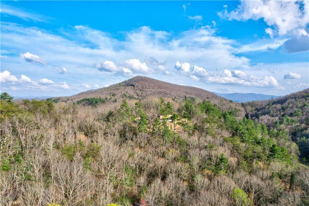 91 MOUNTAIN VIEW Drive