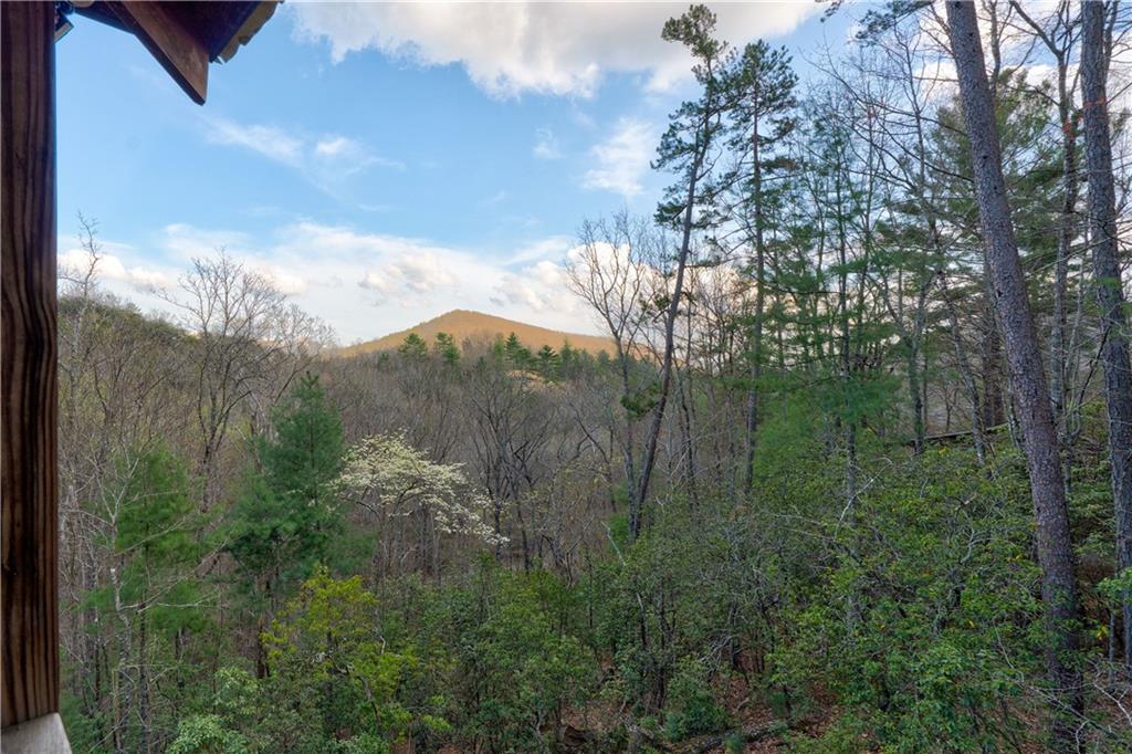 91 MOUNTAIN VIEW Drive