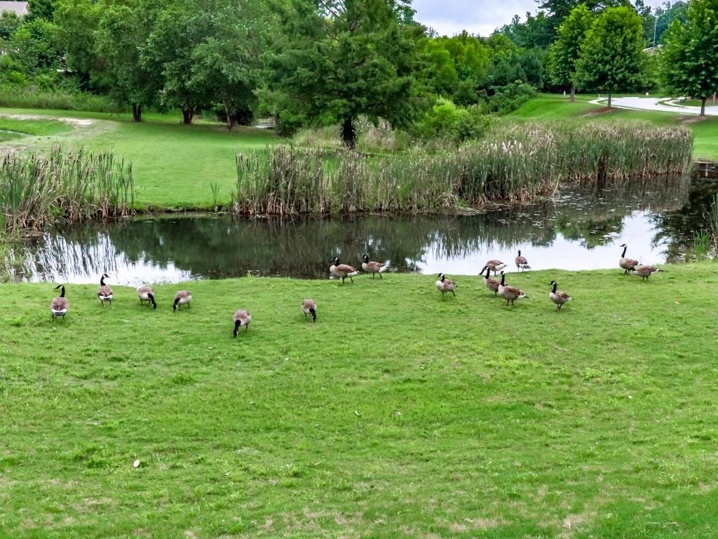 423 Livingston Point