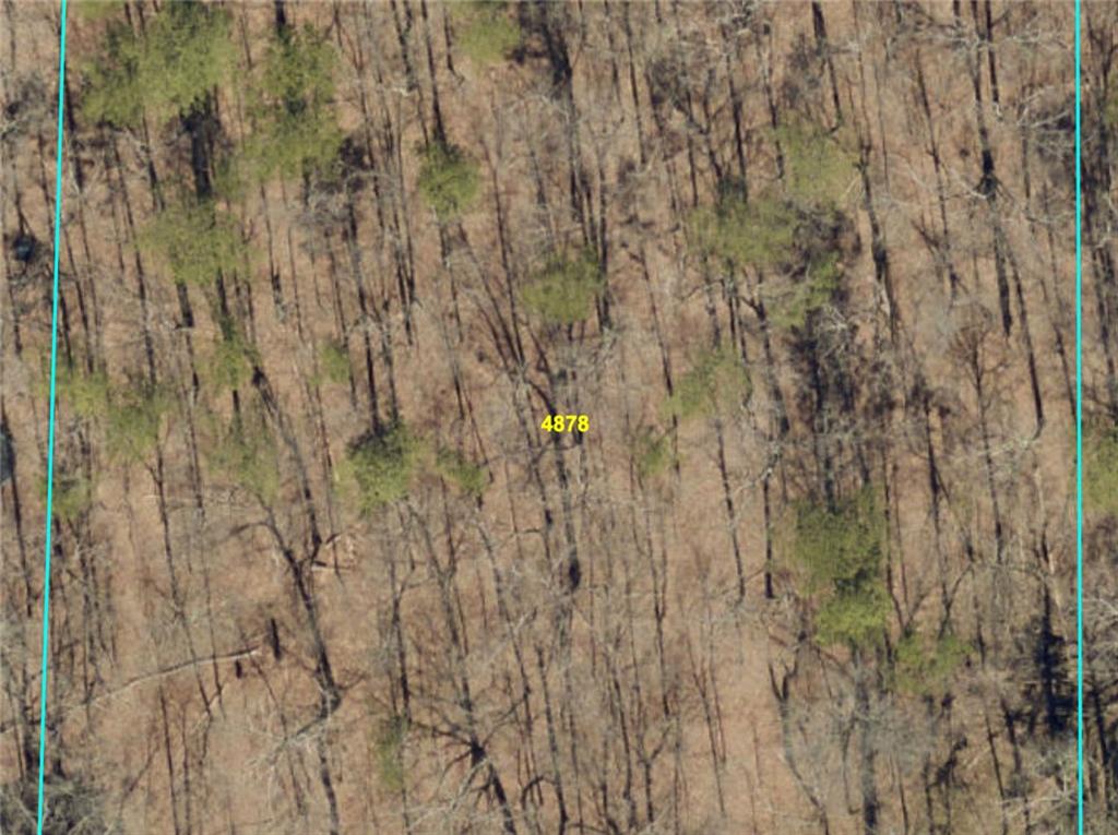 1526 Lost Mountain Road