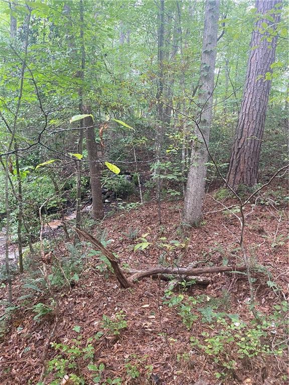 27 Mountain Creek Hollow Drive