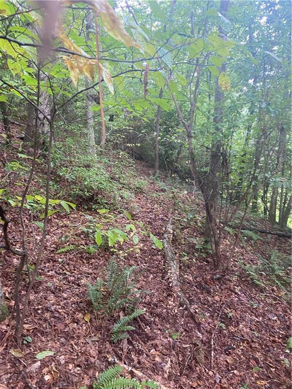 27 Mountain Creek Hollow Drive