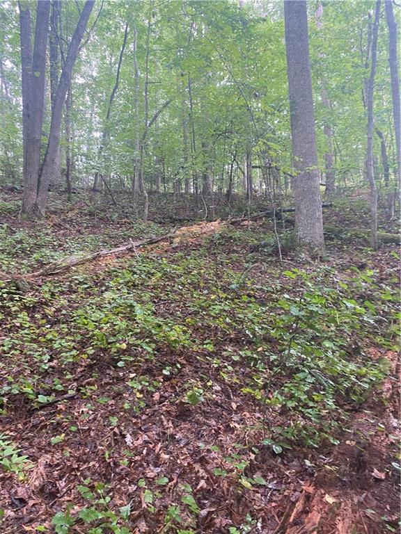 27 Mountain Creek Hollow Drive