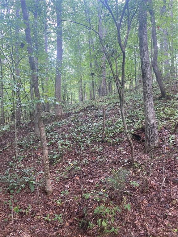 27 Mountain Creek Hollow Drive