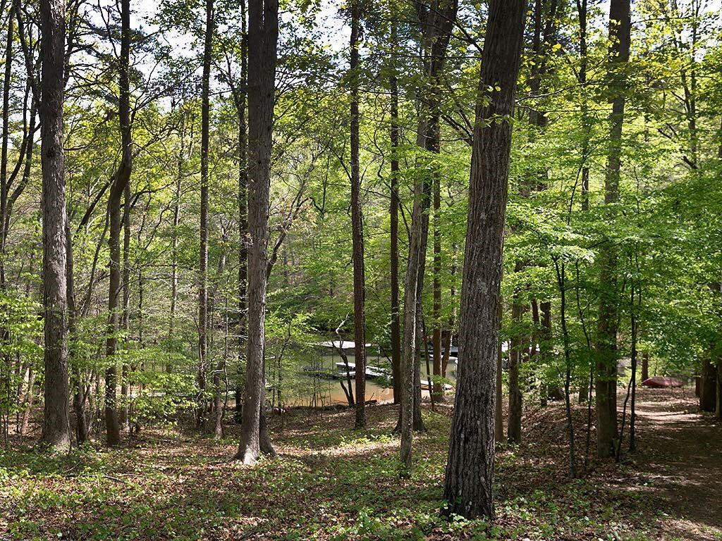 7135 Haw Creek Place