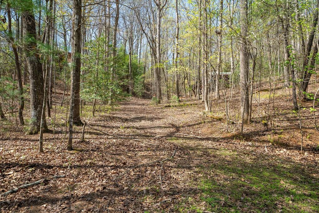 94 Cherry Lake Court