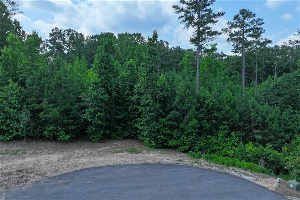 103 Branch Drive