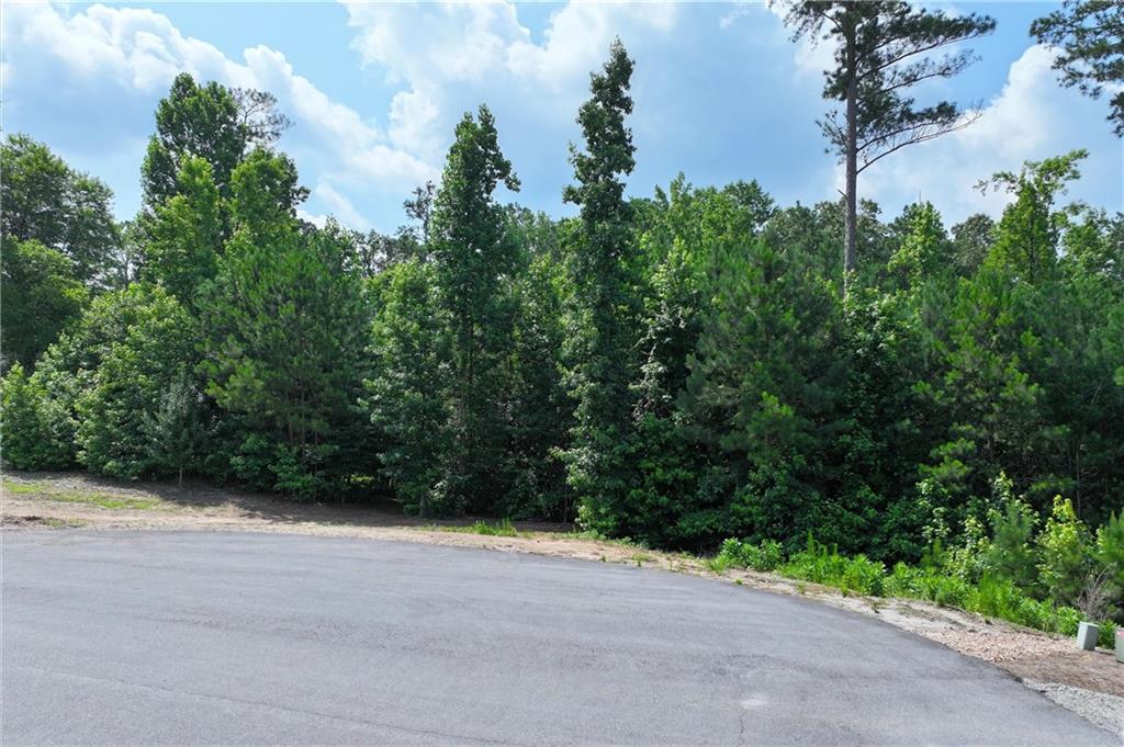 103 Branch Drive