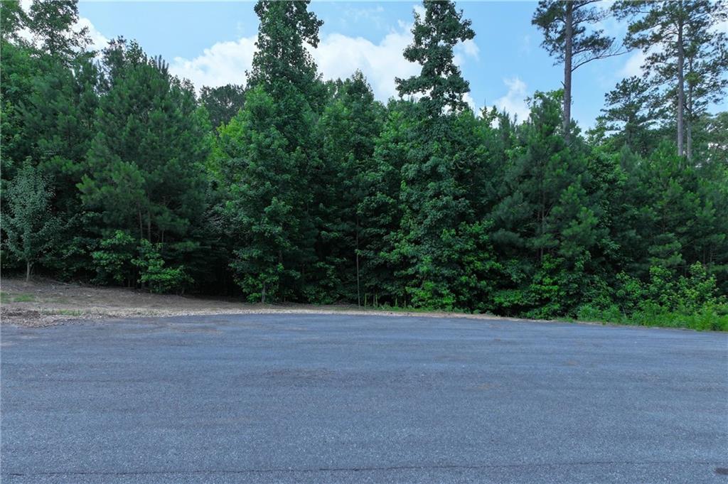 103 Branch Drive