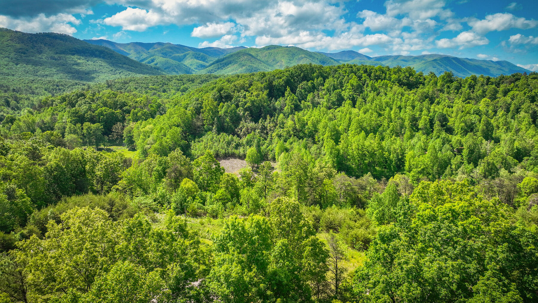 3175 Middle Creek Road