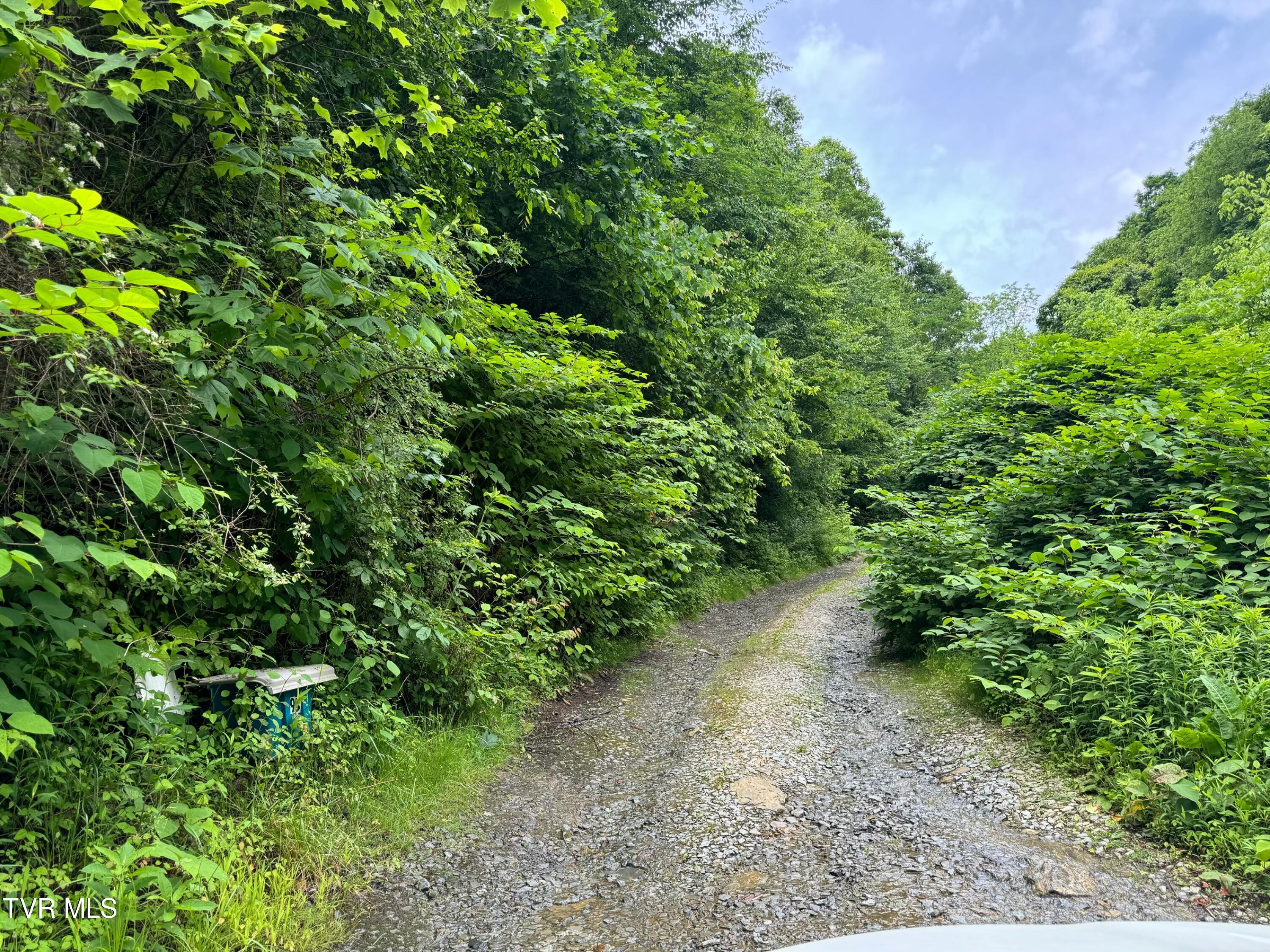 Tbd Long Hollow Road