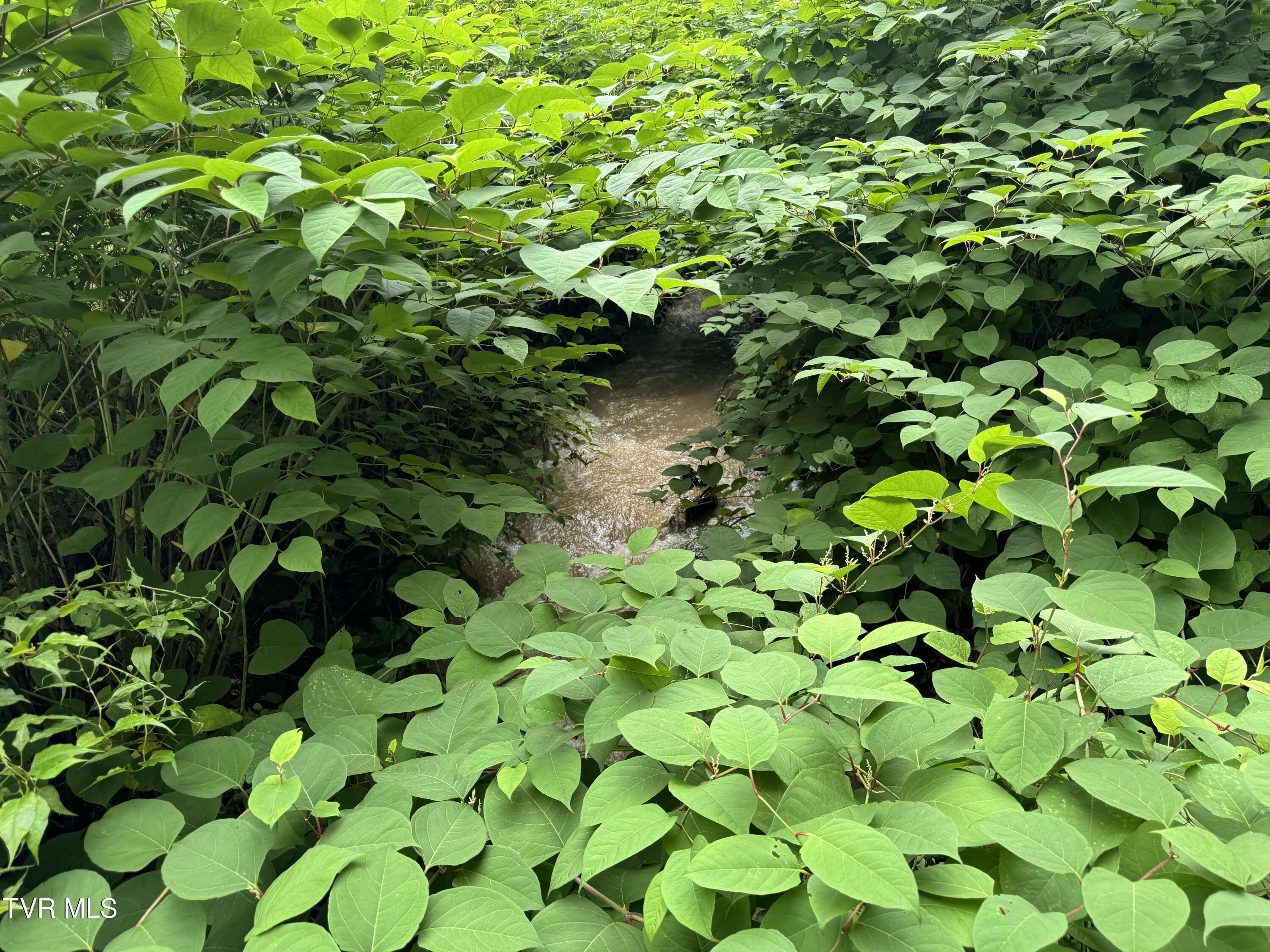 Tbd Long Hollow Road