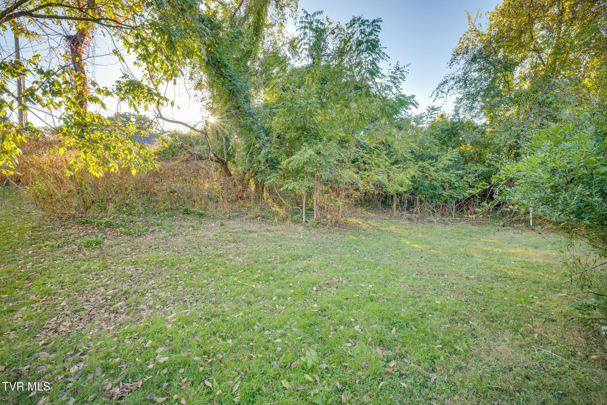 1235 Linville Street