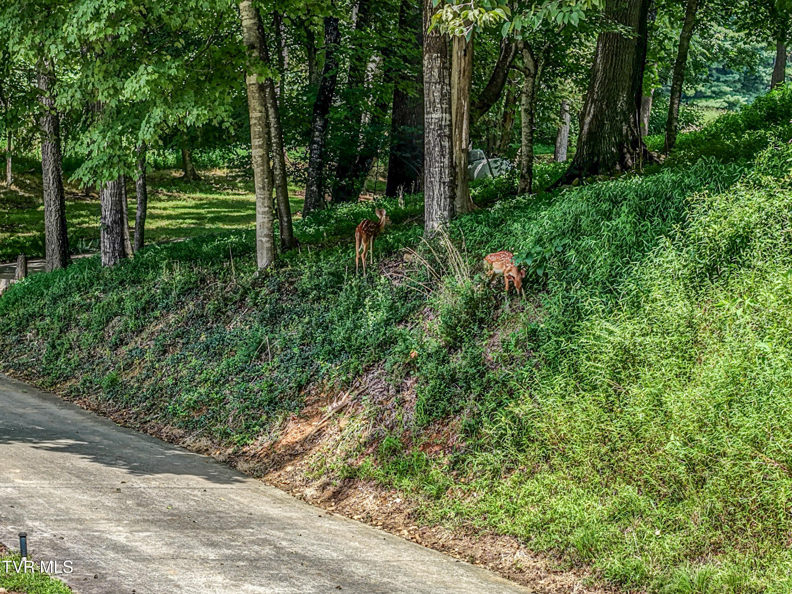 1212 Wahoo Valley Road