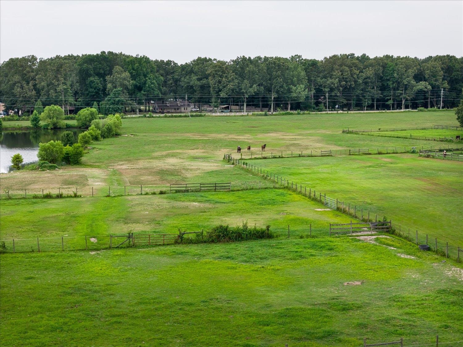 CLAY POND DR