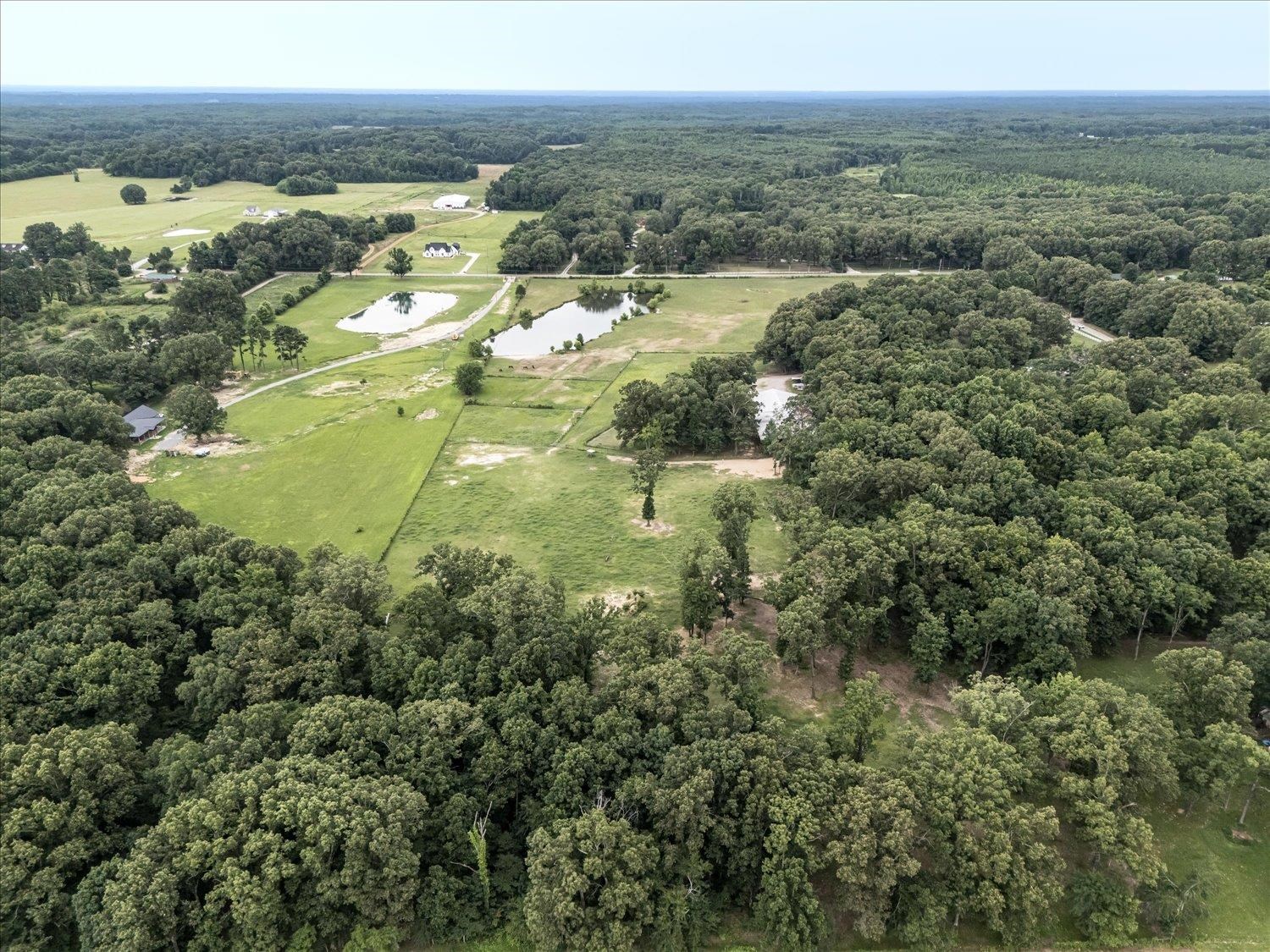 CLAY POND DR