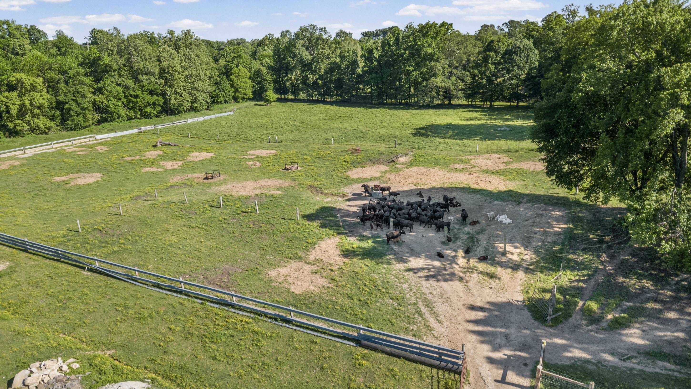 341 LONG HOLE RD