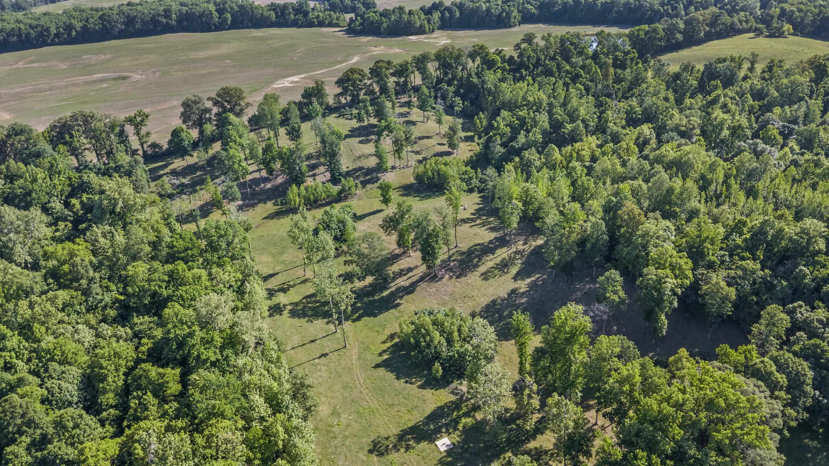 341 LONG HOLE RD