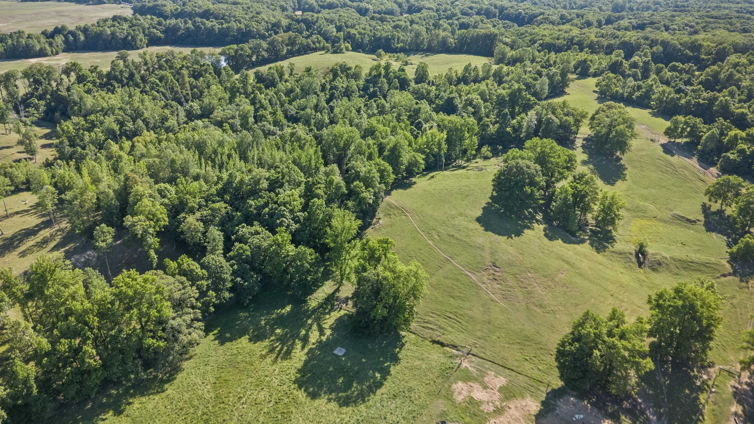 341 LONG HOLE RD