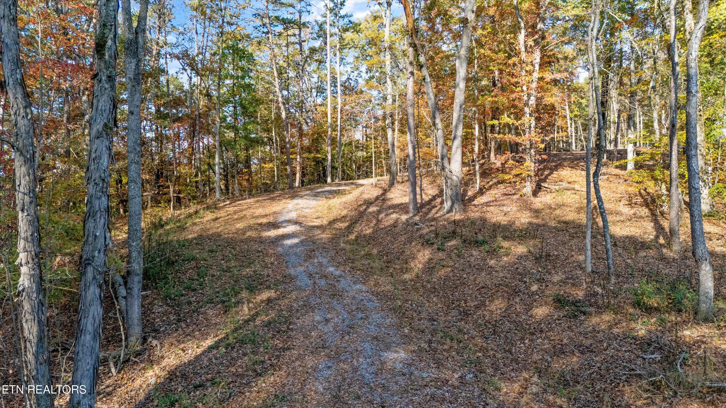 Old Walland Hwy