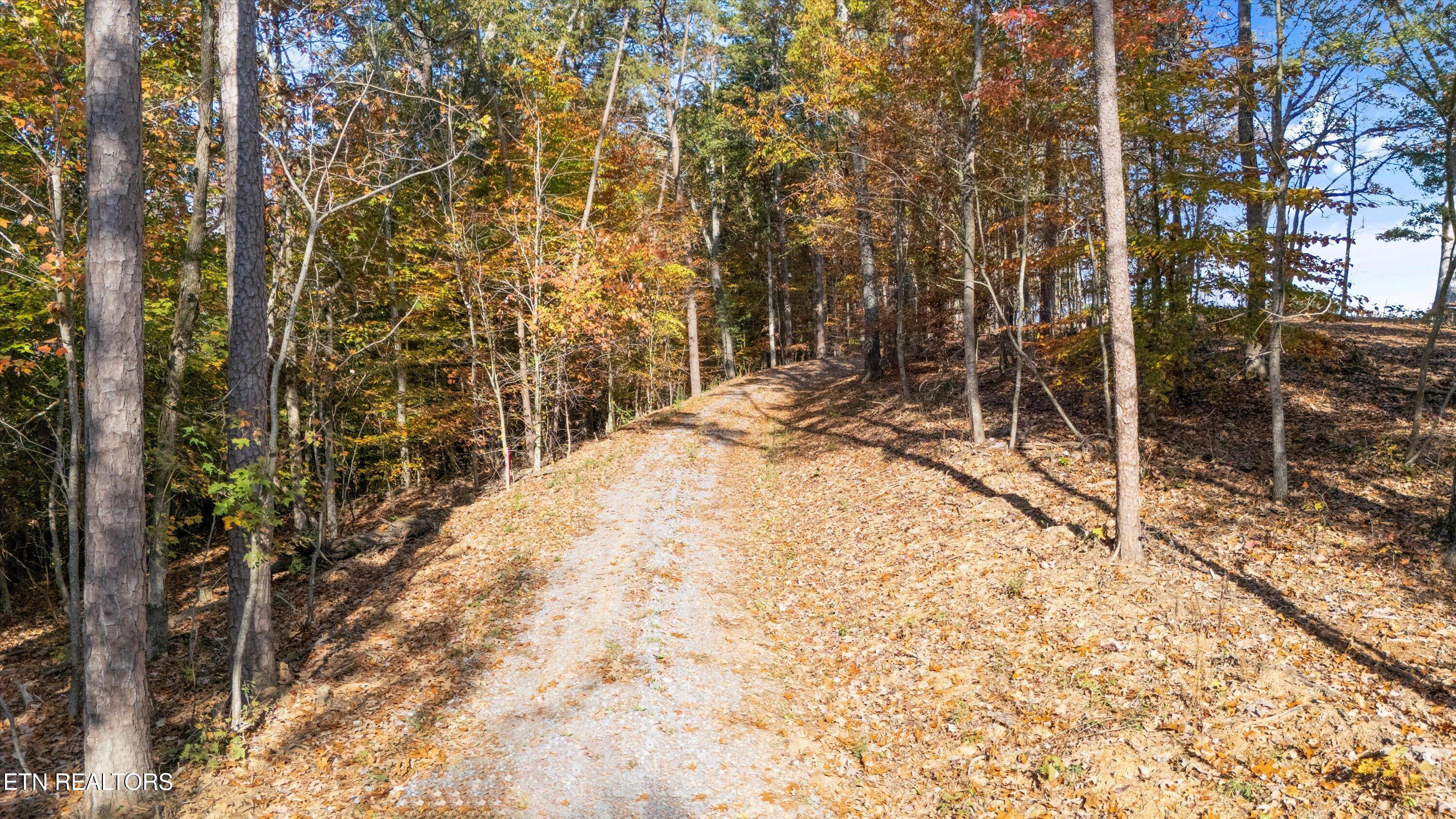 Old Walland Hwy