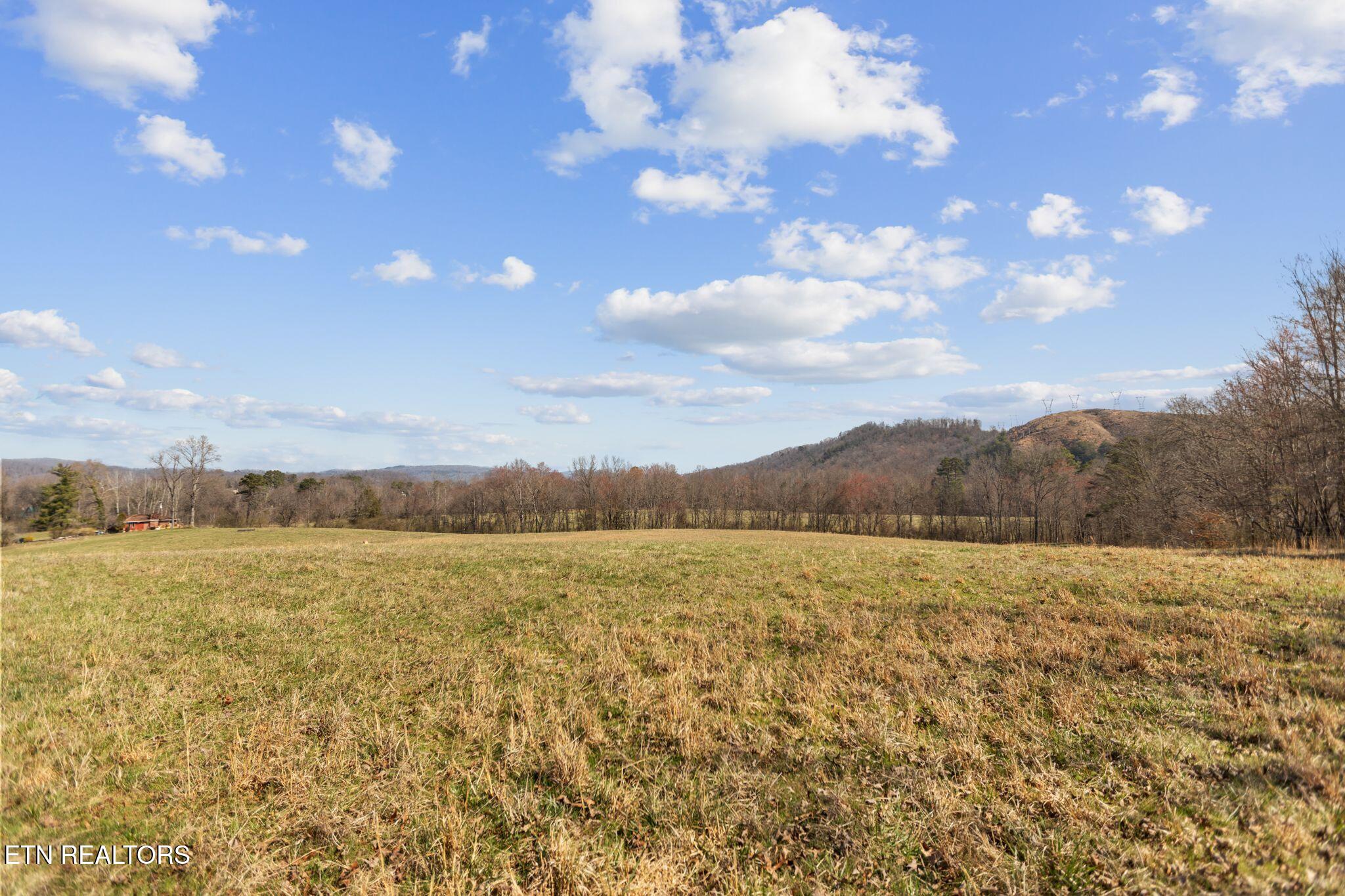 27.18 AC Swan Pond Circle Rd