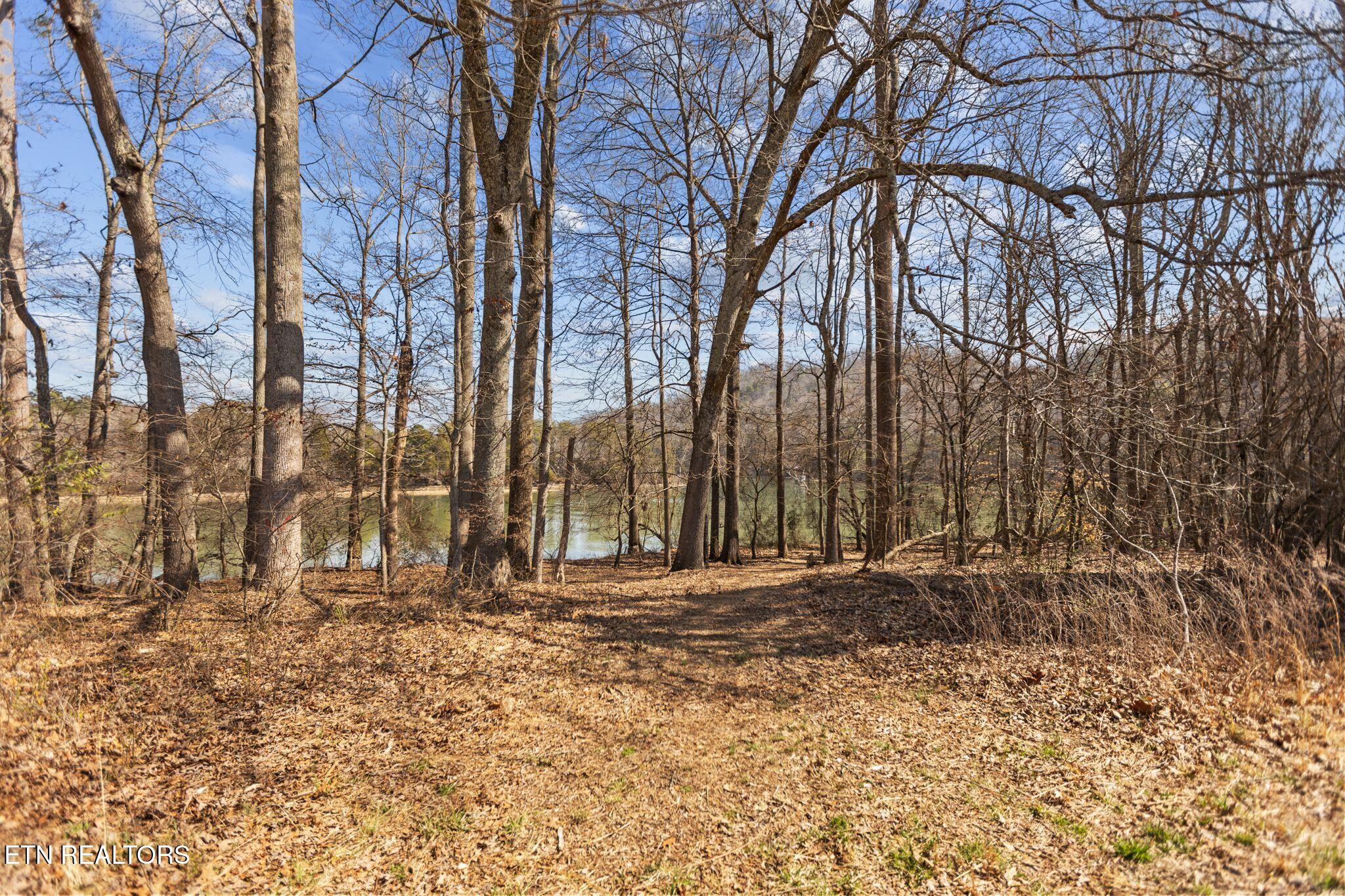 27.18 AC Swan Pond Circle Rd
