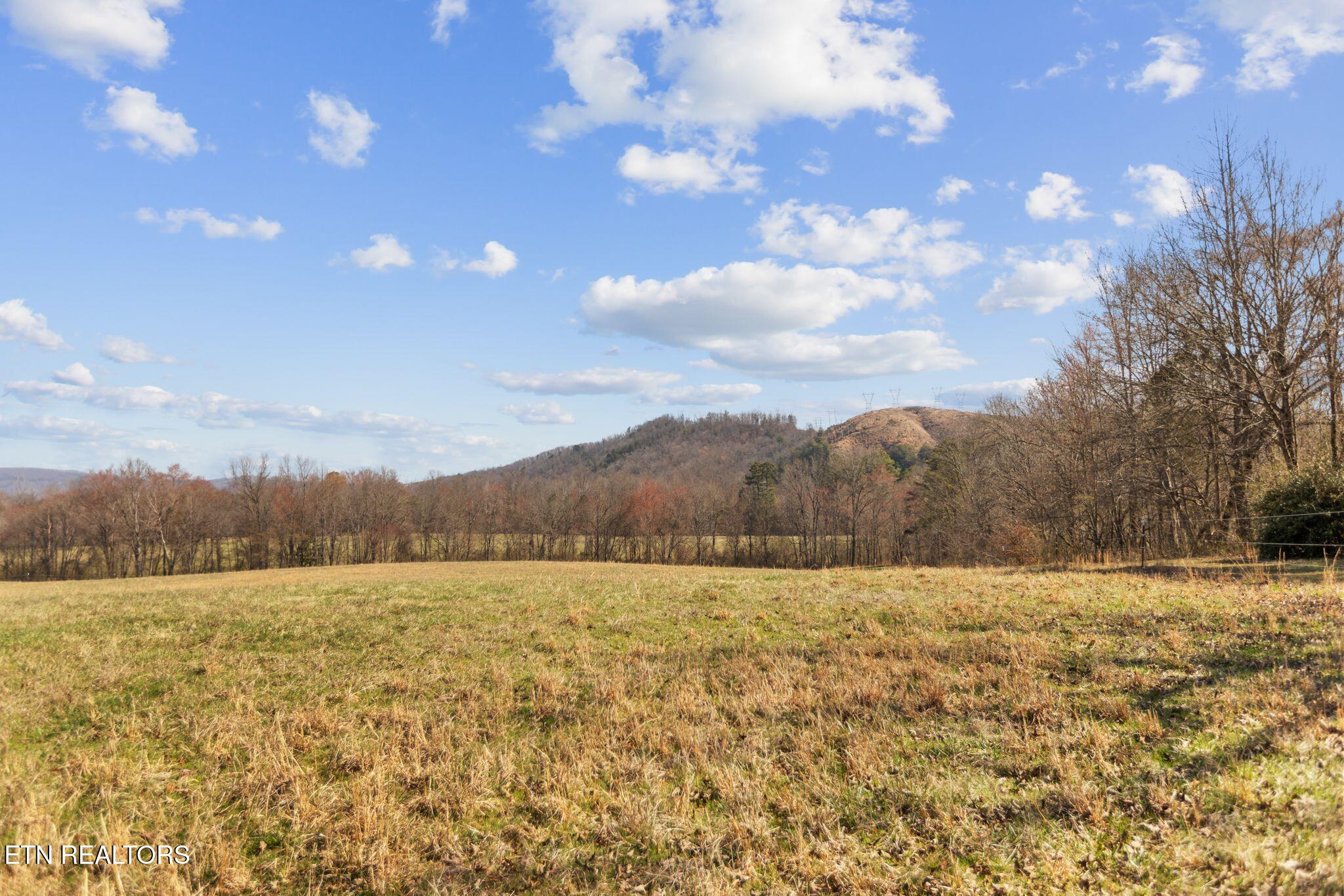27.18 AC Swan Pond Circle Rd
