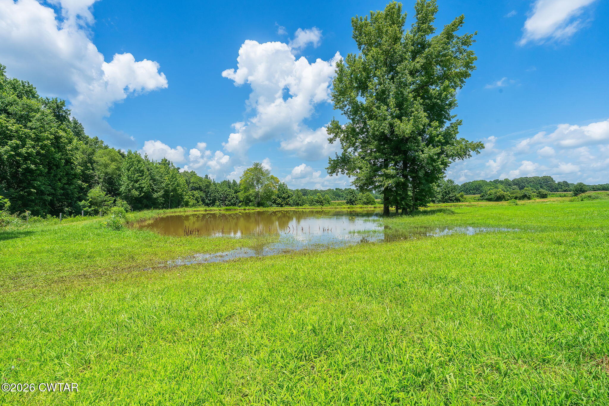 115 Spring Creek Law Road
