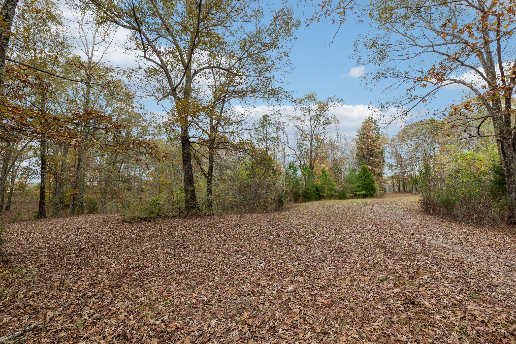 335 Pleasant Hill Rd