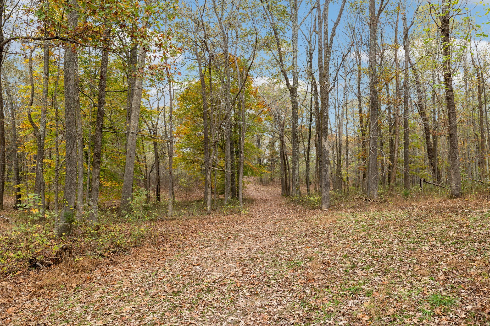 335 Pleasant Hill Rd