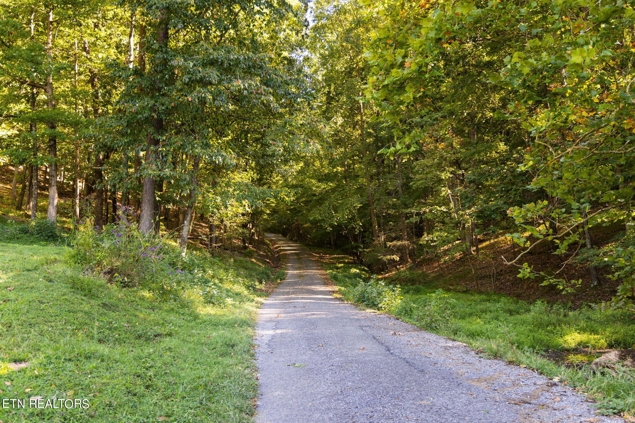 784 New Hope Loop