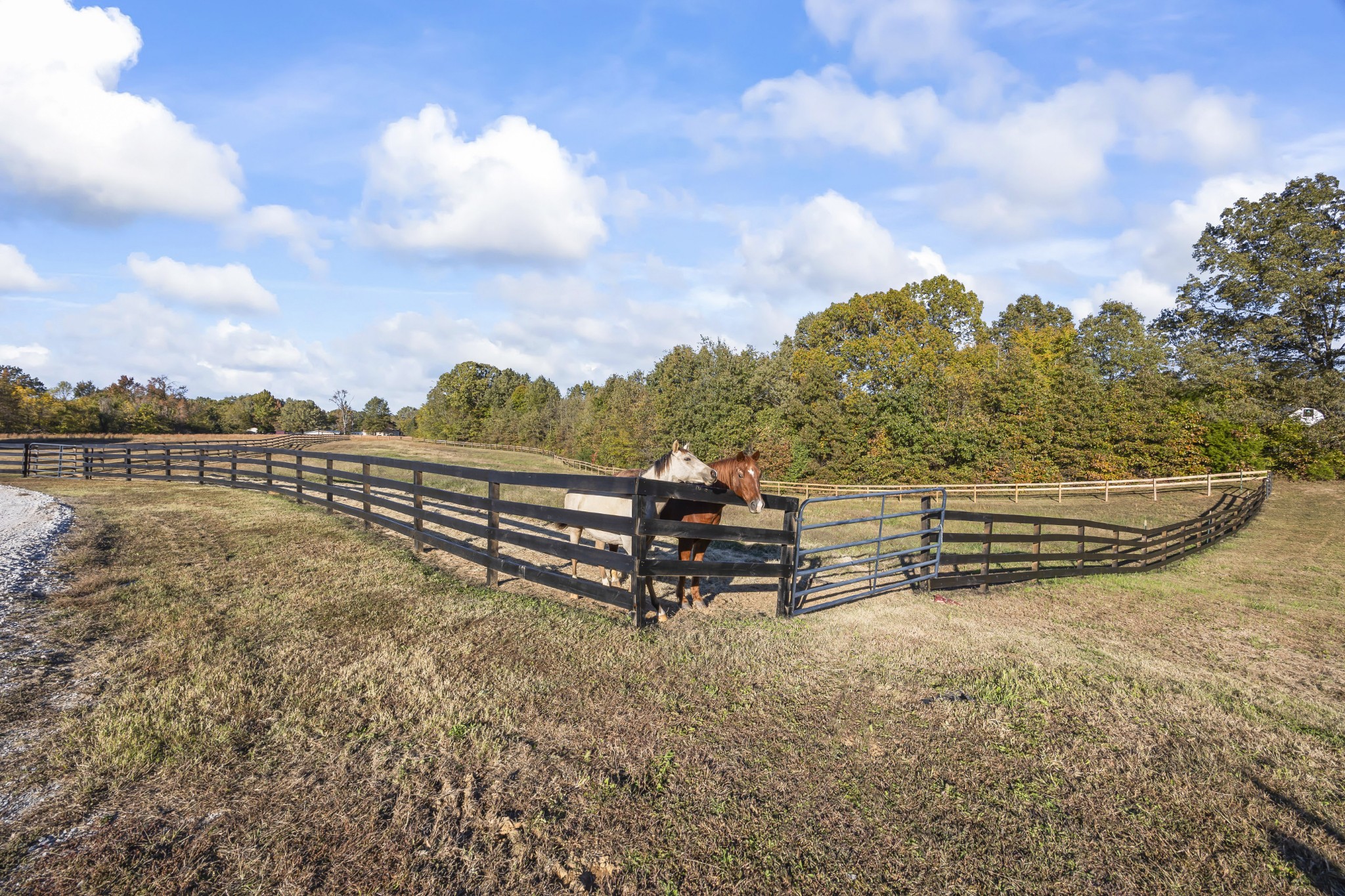 168 Huntersville Denmark Rd