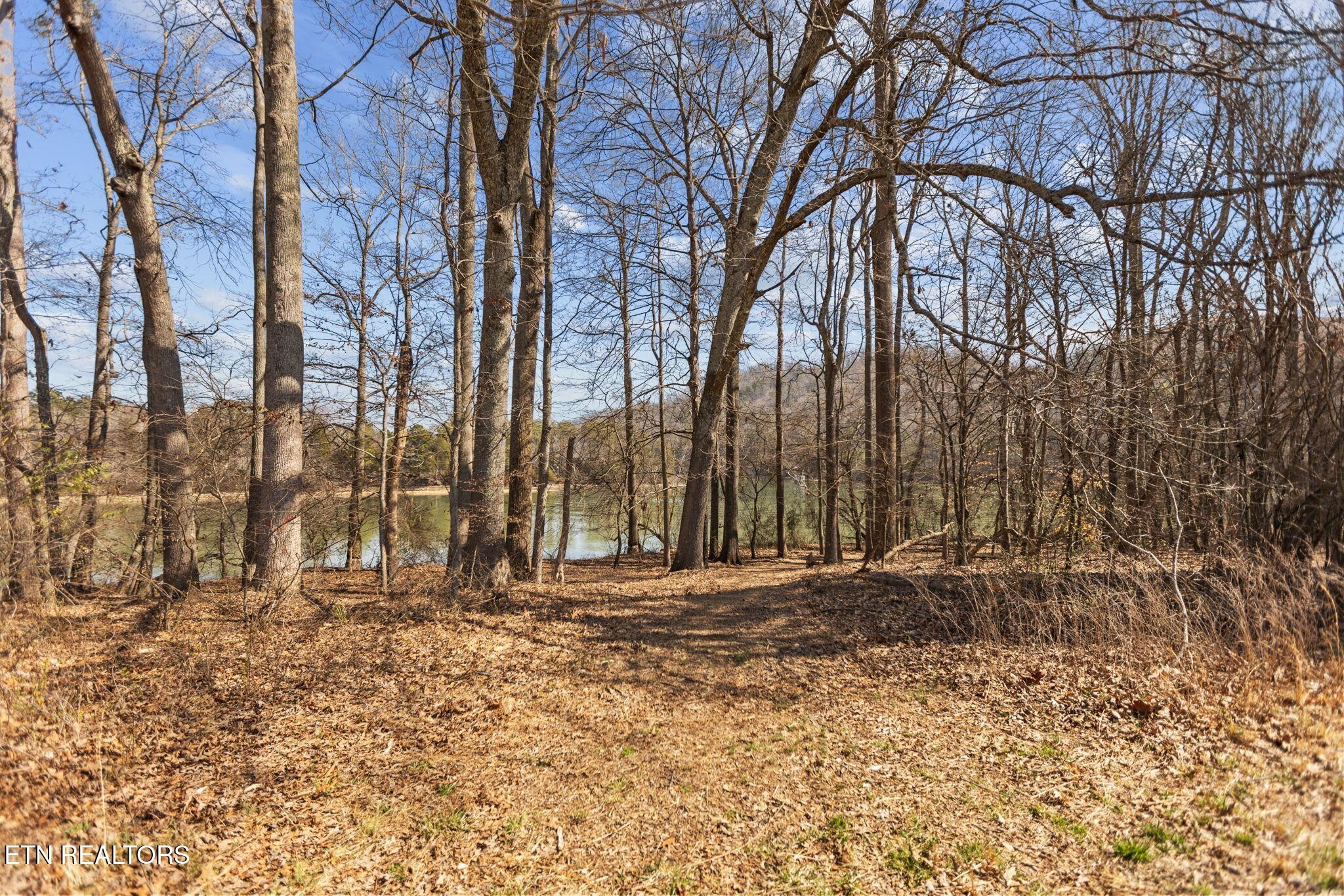 786 Swan Pond Circle Rd